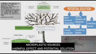 #WeloveUpm#Upmgreencampus#  Microplastics sources, harmful effect and potential solution.