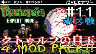 【テラリア】MODをゆるり攻略(SPLIT,Redemption,PINKY,Exodus)#11【実況Terraria】