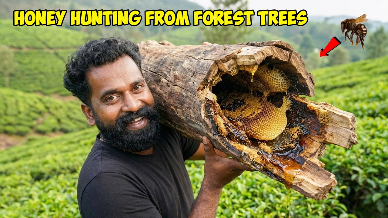 കാട്ടിൽ നിന്നും ലക്ഷങ്ങൾ വിലമതിക്കുന്ന ചെറുതേൻ | Honey H