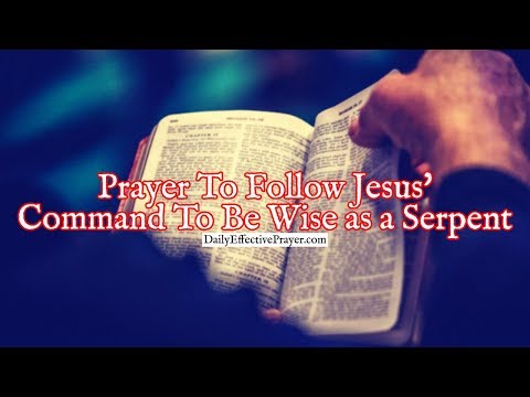 Prayer To Follow Jesus' Command To Be Wise as a Serpent