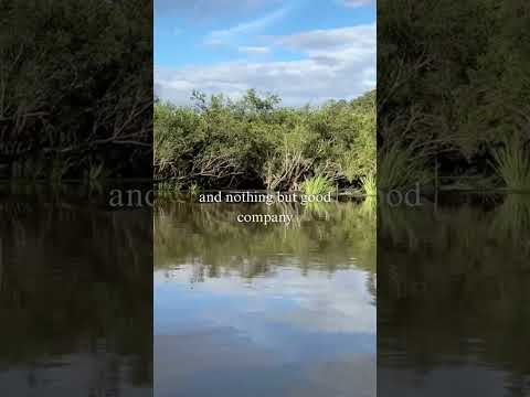 Meet me on the Clarence River
