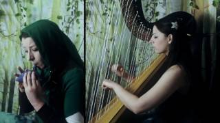 Sacred Grove / Lost Woods (from The Legend of Zelda series) [Koji Kondo] // Amy Turk, Harp/Ocarina