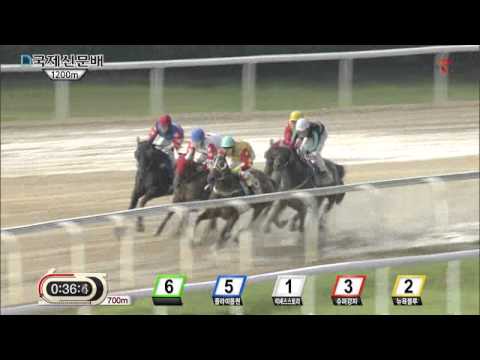 Gukje SInmun Cup 2015 - New York Blue