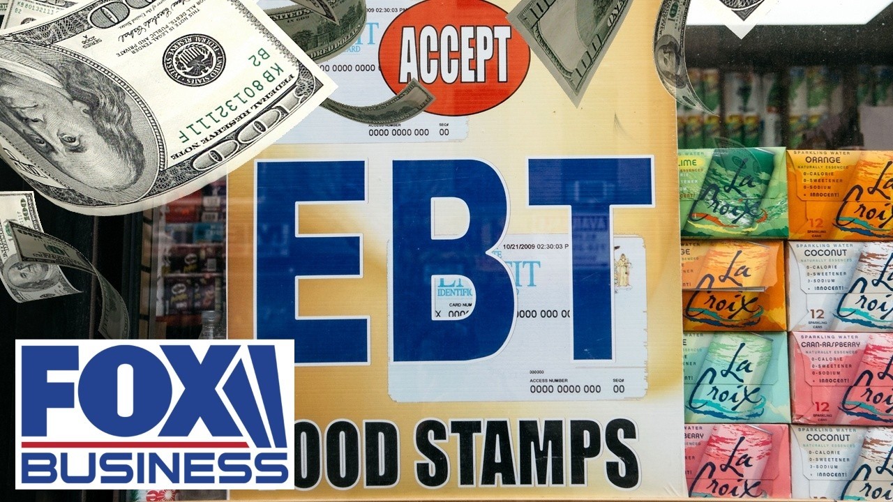 There is a TON OF FRAUD going on in government programs, GOP rep. warns