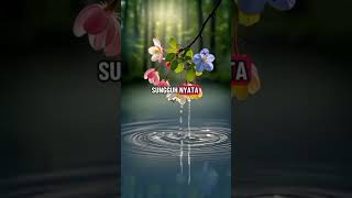 Download lagu #pyfツ #viralvideo #liriklagu ,(@asdi_d8j mp3