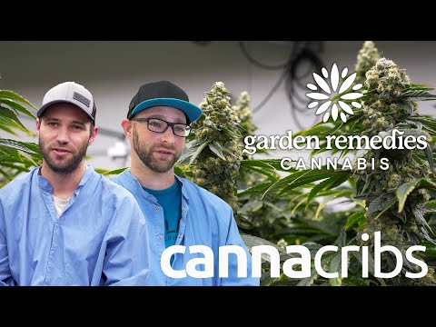 They Traveled the World to Grow the Best Cannabis in Massachusetts | Garden Remedies
