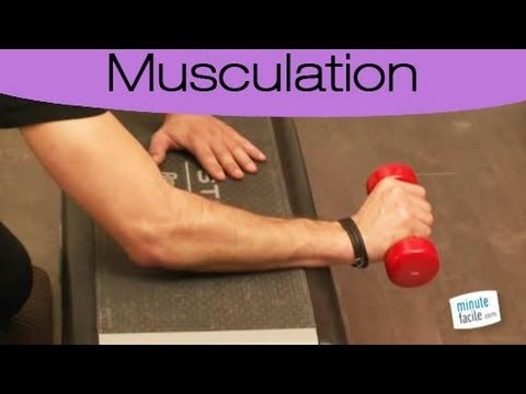 comment renforcer les muscles de ses bras