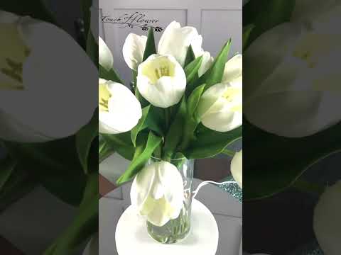 Beautiful Real tulips 🌺🌹🌷- #flowers