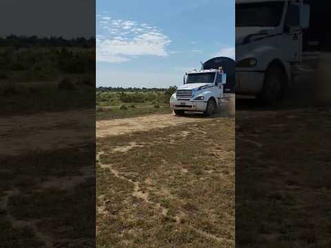 Tractomula Freightliner por la vía a Primavera Vichada #trucks #automobile