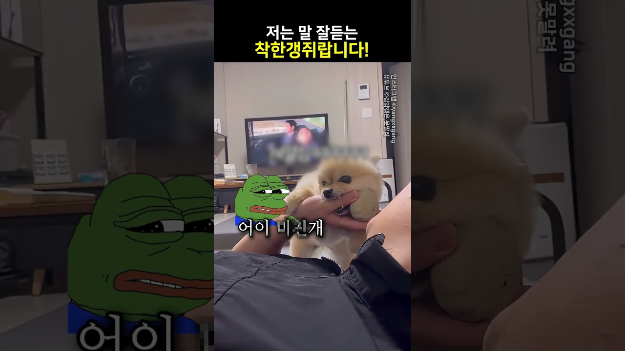 저는 말 잘듣는 착한갱쥐랍니다!