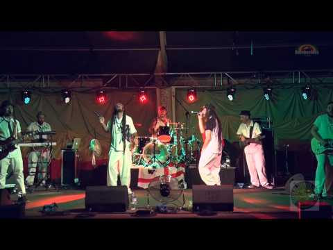 TRAIN TO ROOTS "Policegun"(IT) Live @ RNP 2015