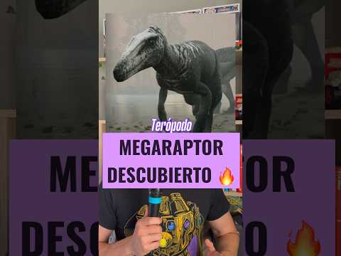 EUROPEAN MEGARAPTOR  Invictibellatrix amberina