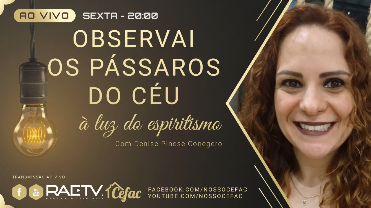 OBSERVAI OS PÁSSAROS DO CÉU à Luz do Espiritismo - Denise Pinese Conegero