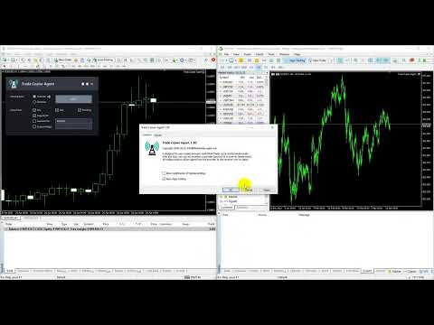 Video Trade Copier Agent MT5