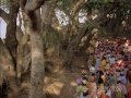 Teri Main To Prem Diwani Hema Malini Meera Vani Jairam Pt Ravi Shankar Hindi Sad Songs