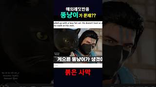 붉은사막 뚱냥이~