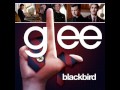 Glee - Blackbird (Acapella) 