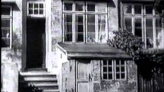 Nosferatu - Parte 5 Con audio en español (1922) (F.W. Murnau)