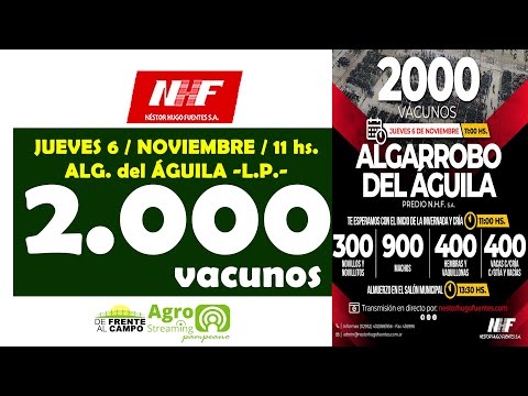 en VIVO -11 hs. -  REMATE de NÉSTOR HUGO FUENTES S.A. en ALG. del ÁGUILA -L.P.- JUE. 6 / NOV.  -