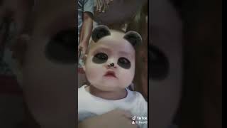 Download lagu Baby Panda Sneezing App mp3