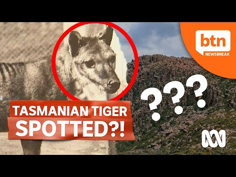 Has the Tassie Tiger Finally Been Discovered?