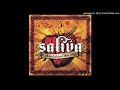 SALIVA - ONE MORE CHANCE