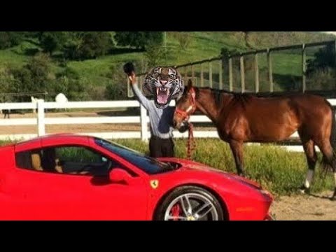 Chino Ántrax - Grupo Rebeldia (Dama5.7) Corridos 