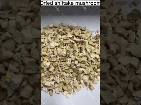 Dried Wood Ear Mushroom & Dried Shiitake Mushroom Wholesale Price #driedblackfungus