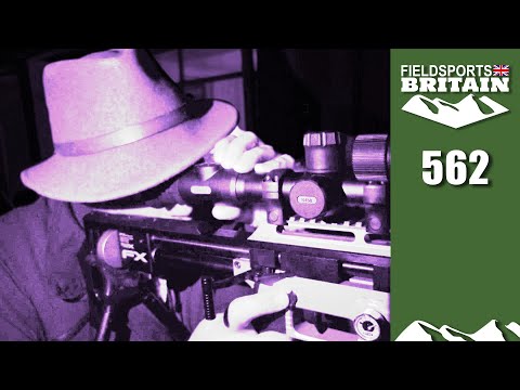 Fieldsports Britain - Roy's ratberg, dead ahead