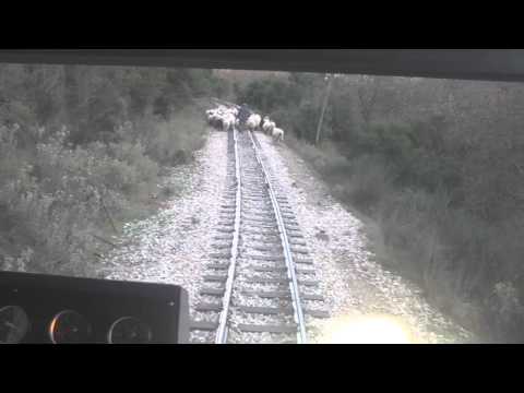 O tsopanhs - Odontwtos pros Kalavryta