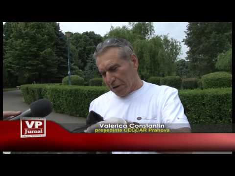 Contabili cu atitudine eco