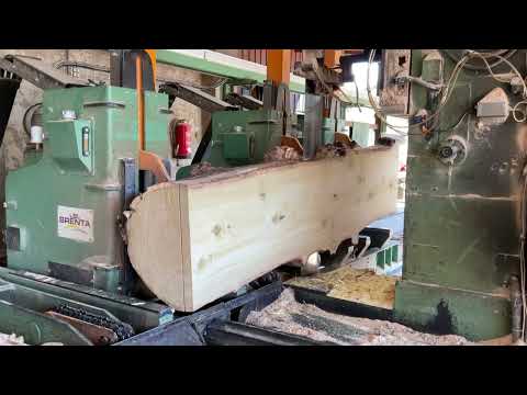 Tulpenbaum im Sägewerk