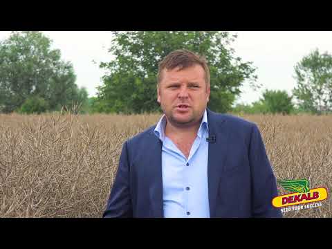 Rapita DEKALB in fermele AgroMad Crops - interviu Ion Olteanu