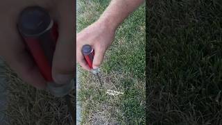 Diagnose Yellow Dead Dry Spots In Lawn #lawncare #lawn