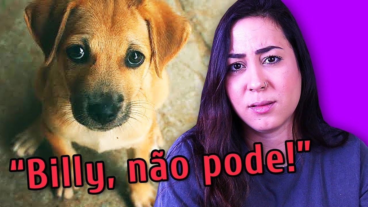 6 ERROS AO REPREENDER O SEU CACHORRO