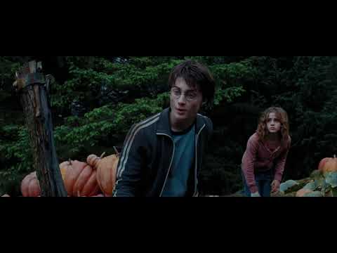 Harry And Hermione Save Buckbeak - Harry Potter And The Prisoner Of Azkaban