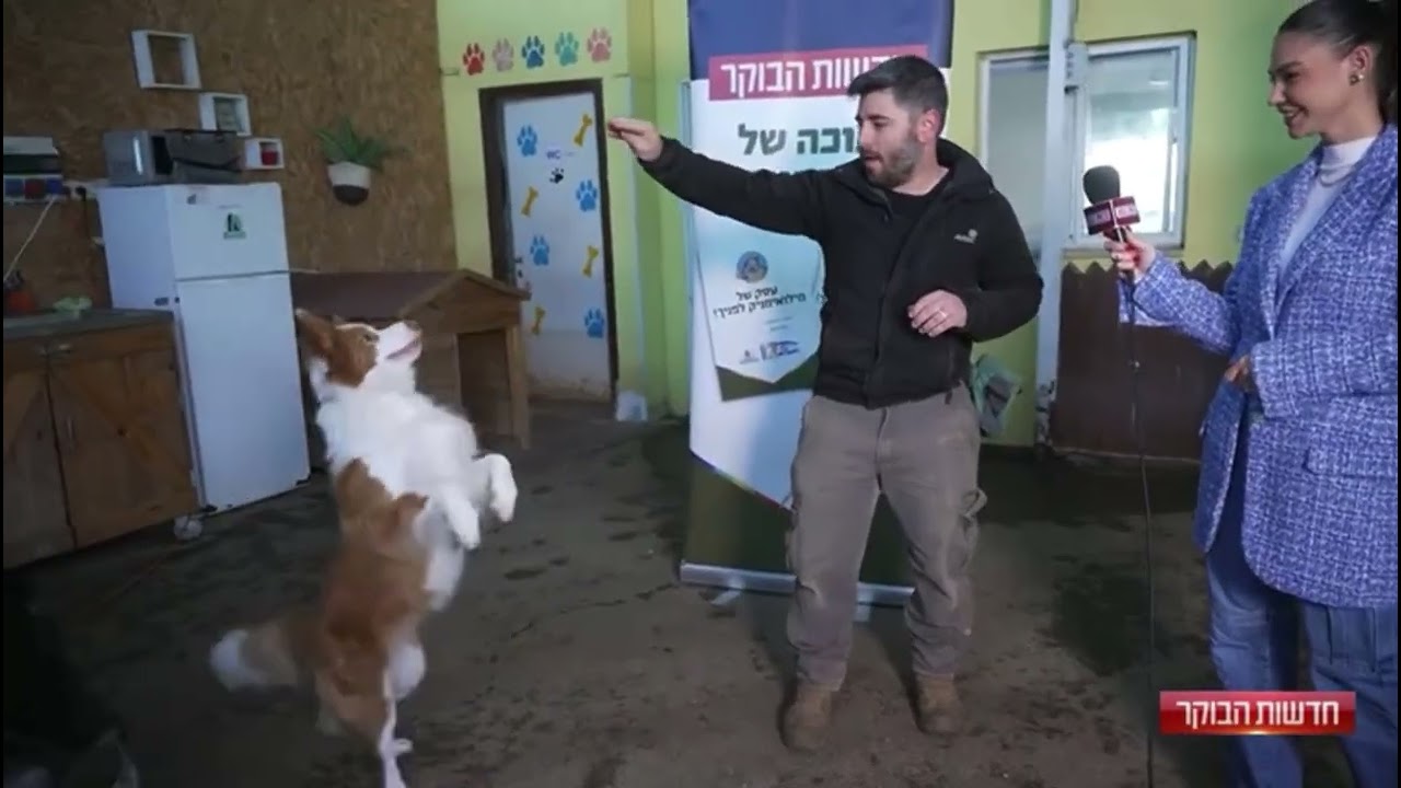 כתבה בטלוויזיה על אור ברקן