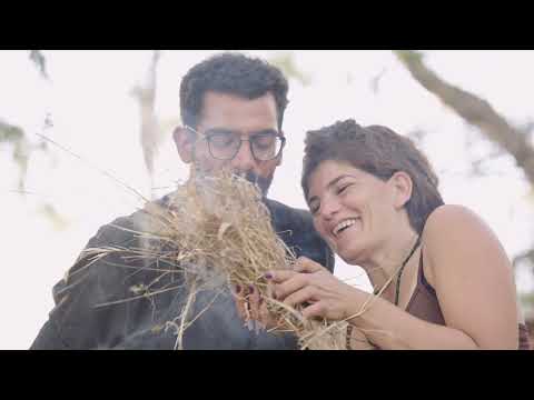 תמונה של חיבור עתיק