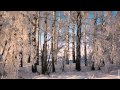 Стелла Джанни - Сердце на снегу 