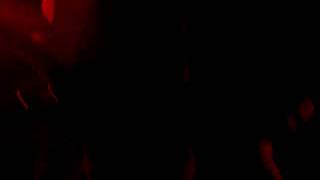 Stellastarr* - Homeland