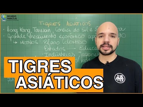 Tigres asiáticos (e novos Tigres Asiáticos) | Aula completa | Ricardo Marcílio