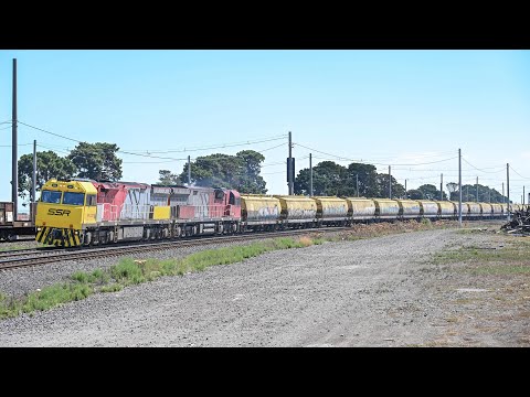 MRL’s Visit Victoria | SSR’s 7CM4 Grain Train | 15/2/26