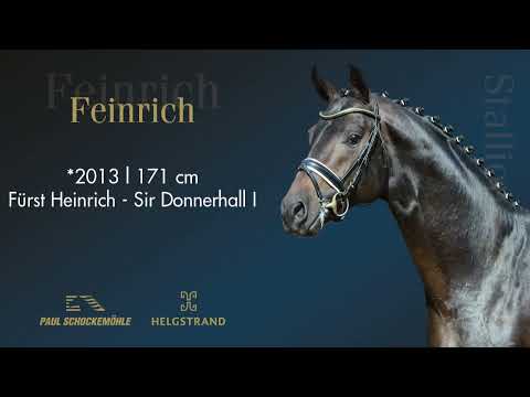 Feinrich - Dressurkollektion 2022 Schockemöhle & Helgstrand (DEU)