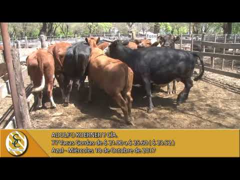 18-10-17 Venta de Gordo - Adolfo Koerner y Cía. - Azul