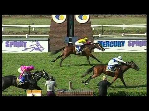 Clairwood 13072013 race 3