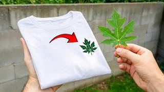 YOU WON’T BELIEVE IT! Just Use Papaya Leaves to Make Thousands of Dollars – This Is INSANE!