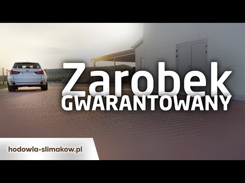 Zyski z Hodowli Ślimaków