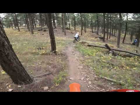 Black Hills TR6305 TR6301 TR6328