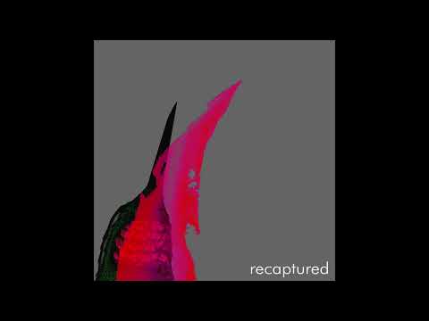 raised by swans - recaptured (official)