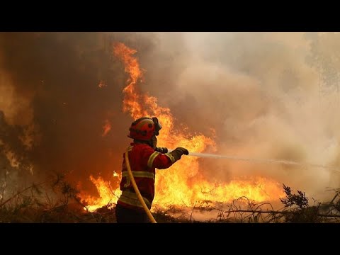 Erhalten Migranten in Portugal mehr Geld als Feuerwehrleute?